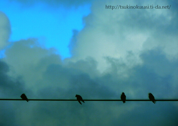 talks・・