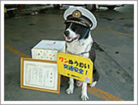 ●会いたい！浦添の名犬 2006/12/29 13:28:00