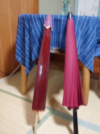 唐傘をだしてみました。 2009/03/09 20:21:36