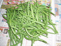 お知らせです！ 2008/12/26 21:52:08