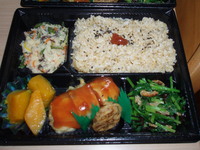 弁が岳散策 2009/02/23 23:21:08