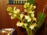 華道は小原琉 2009/02/01 23:22:43