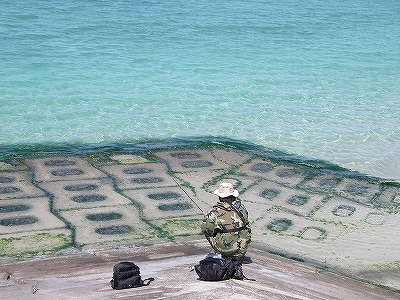 遭遇