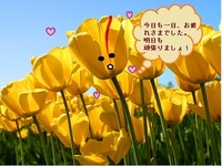 む・む・む・むずかしい 2011/05/14 02:08:42