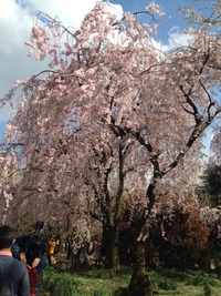 いいな 2014/04/05 18:29:17