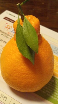 みてるだけで 2013/04/27 15:50:35