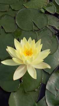 初夏… 2013/05/28 09:15:39
