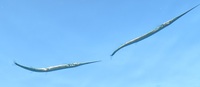 青空の下では 2013/03/16 10:17:00