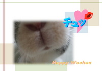 最近のう～ちゃん　ｏ^ェ^ｏ