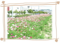 花畑　♪ゞ(*゜▽゜)θゞ(*゜▽゜)θゞ(*゜▽゜)θ 2007/04/22 09:56:00