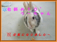 う～ちゃんが突然・・・　　（￣△￣；）エッ・・？