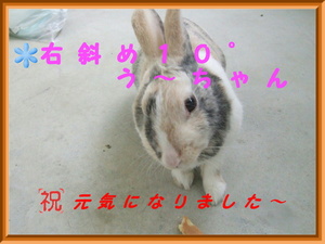 う～ちゃんが突然・・・　　（￣△￣；）エッ・・？