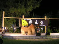 月見会