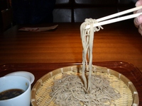 日本蕎麦　権八