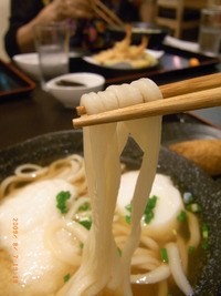 さぬき麺天2