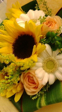 おはようございます♪ 2010/10/07 09:42:02
