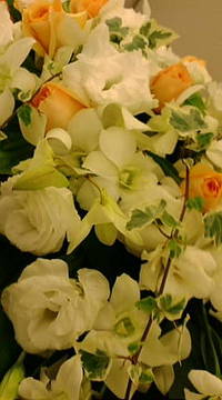 おはようございます♪ 2010/08/25 09:03:40