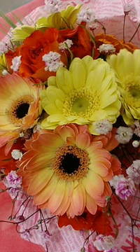 おはようございます♪ 2010/10/15 09:20:25