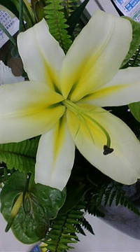 おはようございます♪ 2010/09/21 09:08:12