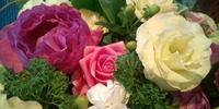 おはようございます♪ 2010/10/18 09:14:39