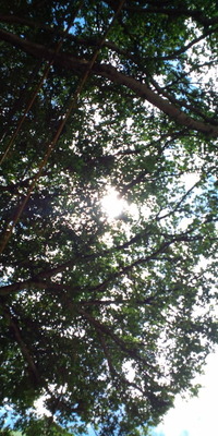 おはようございます♪ 2010/08/26 09:09:11