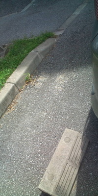 ラブリ〜♪ 2010/08/26 16:58:08