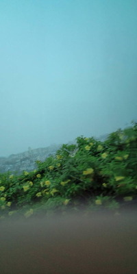 雨の首里♪ 2010/08/31 11:40:25