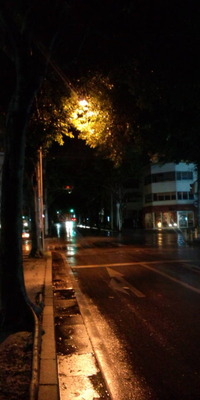 まるで君を… 2010/09/02 00:45:02