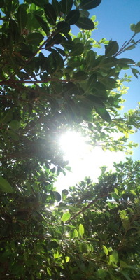 おはようございます♪ 2010/09/14 10:17:10