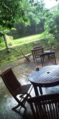 天気雨♪ 2010/09/15 16:02:46