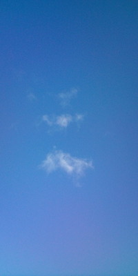 おはようございます♪ 2010/09/16 09:04:12