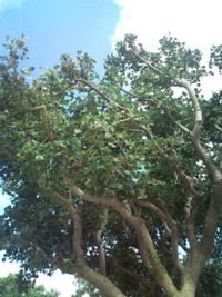 おはようございます♪ 2010/09/22 09:16:27