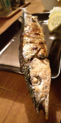 宇宙戦艦秋刀魚？？ 2010/10/07 13:23:09