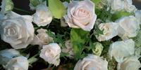 おはようございます♪ 2010/10/13 09:09:43