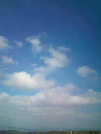 おはようございます♪ 2010/10/17 09:44:47