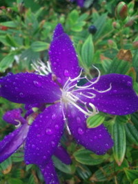 おはようございます♪ 2010/10/19 09:05:45