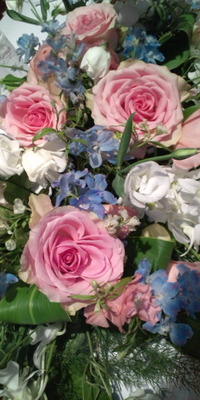 おはようございます♪ 2010/10/20 09:16:53