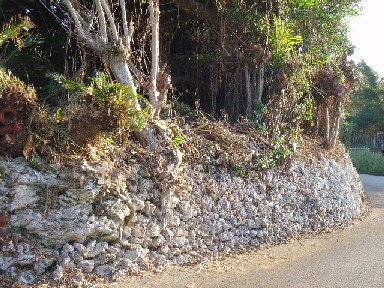 お薦めの石垣　ＩＮ　古里