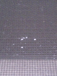 台風一過 2011/05/29 15:43:42