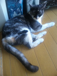 現状打破 2011/07/30 06:39:31