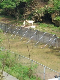 新都心 2011/08/26 11:01:39