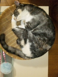 かわいい〜 2011/08/29 21:31:06