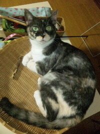 励まし 2011/08/31 22:44:12