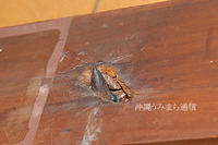 考察 2011/04/29 21:21:52