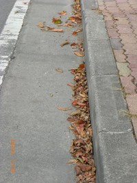 無罪でお願いします！