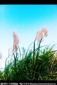 あと3日。 2010/12/28 17:28:01
