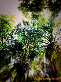 天気いぃ〜♪ 2011/01/05 15:45:21