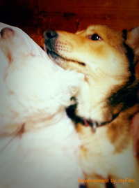 このふたり。。。 2011/01/06 20:01:06