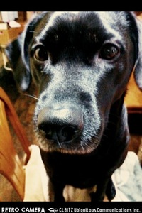 ごはん〜 2011/01/12 10:15:57