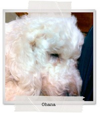 寒いので。。。 2011/02/14 22:59:02